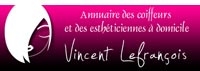 Avis Vincent-lefrancois.com