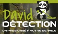 david-detection.com