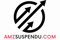 amzsuspendu.com