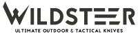 wildsteer.com