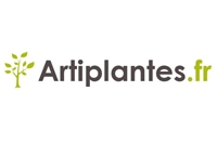 artiplantes.fr