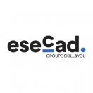 esecad.com