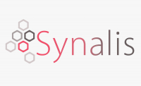 synalis.fr