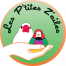 les-ptites-zailes.fr