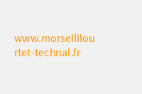 morsellilourtet-technal.fr