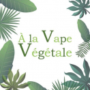 alavapevegetale.com